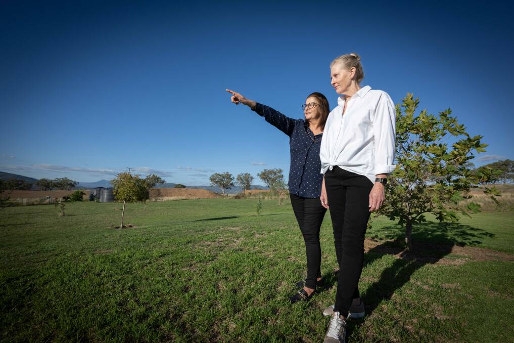  Lyn Parton points out to Dixie Ernst where the proposed Tamworth BESS will be installed off in the distance. Picture by Peter Hardin