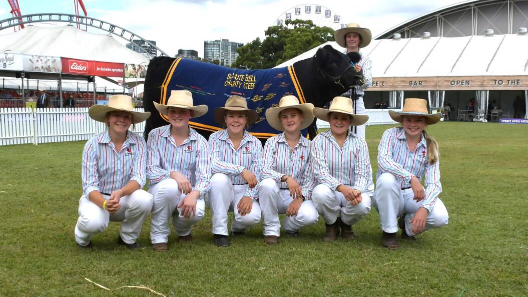 (Back with steer) Lily McCosker Year 11, (Front from left) Elsie Wake Year 10, Mila Vanzella Year 9, Macey Wake, Year 10, Charli Milton Year 9, Amelia Webb Year 9, Izzy Macrae Year 8 at the Sydney Royal Easter Show on Friday, 22 March.