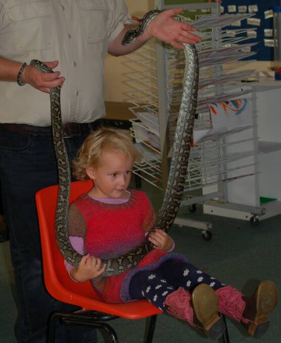 Lily Cook holds on to Murrray the python.