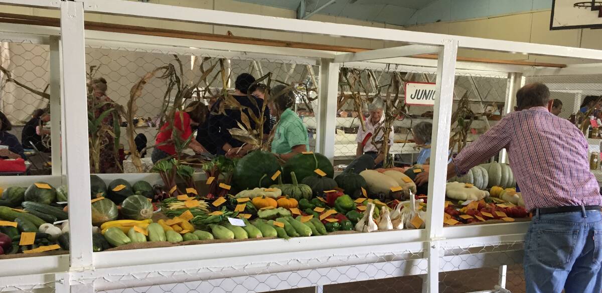 Setting up the produce in the main pavilion at the Walcha Show today