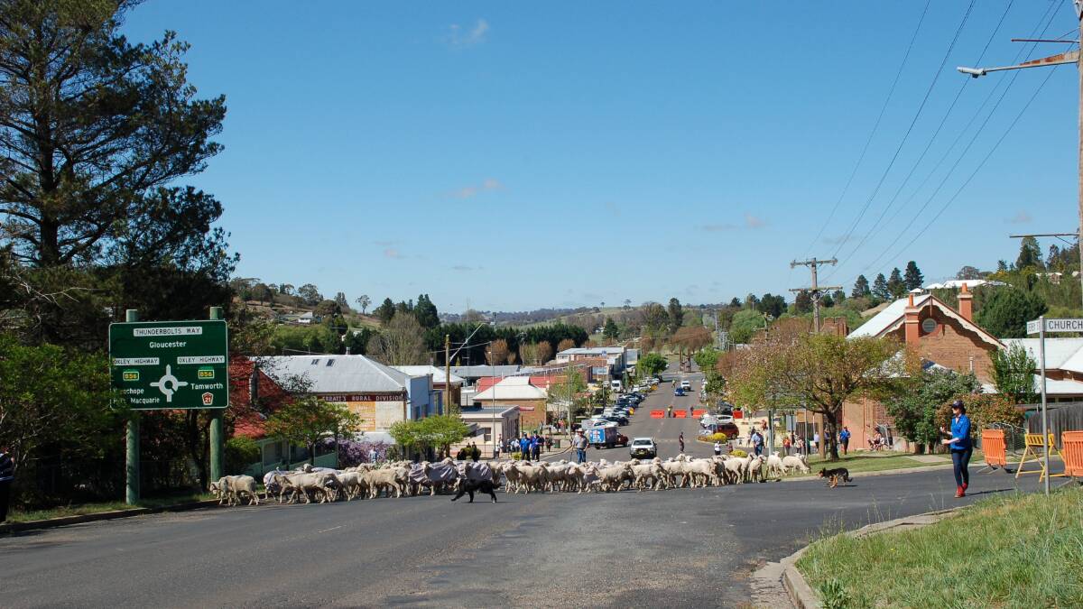 Counting sheep in your street: video