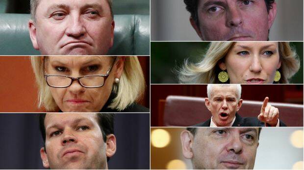 The High Court will consider the eligibility under Section 44 of the constitution for politicians (anti-clockwise from top left) Barnaby Joyce, Fiona Nash, Matt Canavan, Nick Xenophon, Malcolm Roberts, Larissa Waters and Scott Ludlam. Photo: Fairfax Media