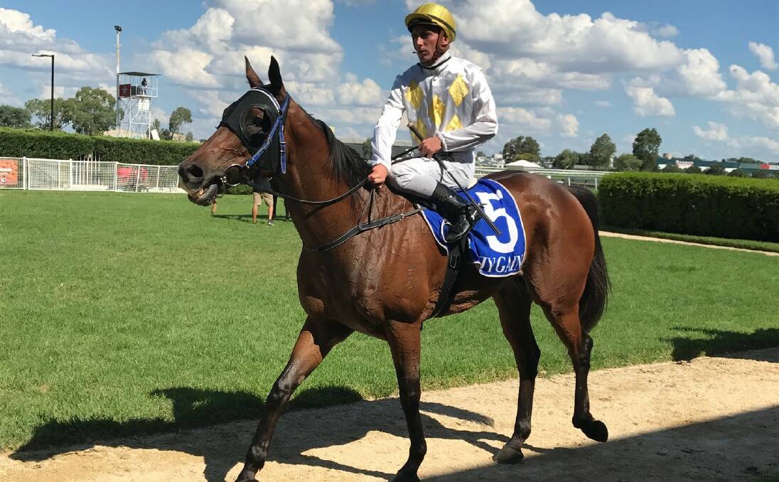 ON COURSE: So You Know and Ben Looker after winning at Tamworth last Friday. They are now heading to the Walcha Cup. So You Know has won over the 1400 metres. 
