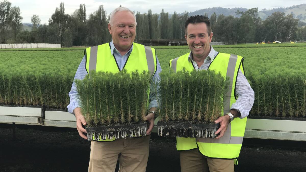 Minister for Lands and Forestry Paul Toole and Chair NSW Forest Industries Taskforce Rick Colless inspecting seedlings at the Blowering Nursery.