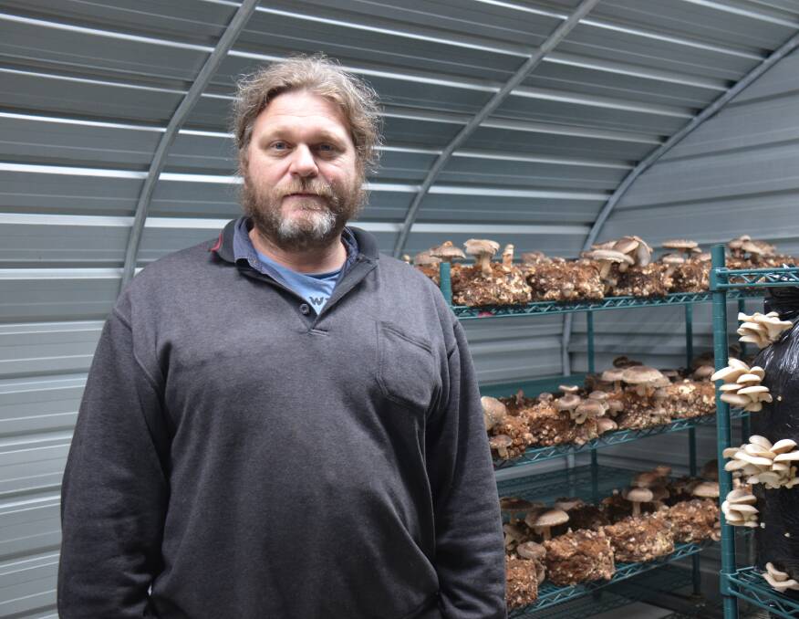 MUSHROOM BUSINESS: Gabe Staats is one of the few people that grows mushrooms from scratch.