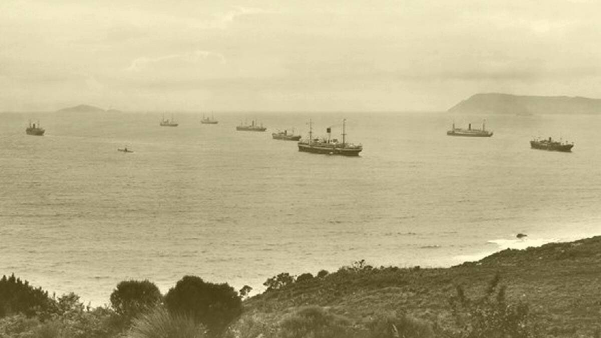 Preparing to leave: Some of the 38 troopships ships that assembled in King George Sound off Albany, Western Australia, in October 1914