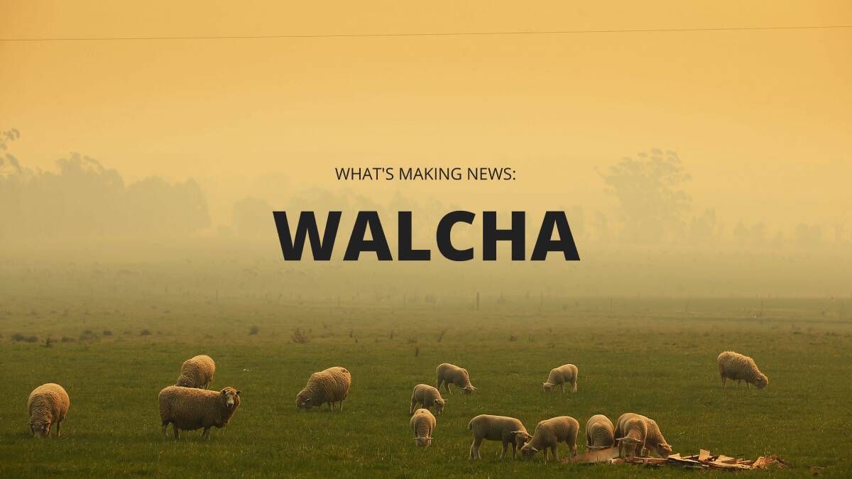 Top stories making news in Walcha