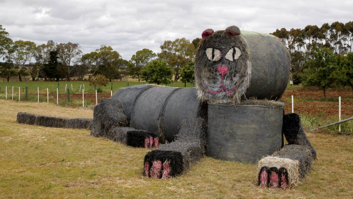 Decorated haybales placed out along the streets of Tarrington. Pictures: Rob Gunstone