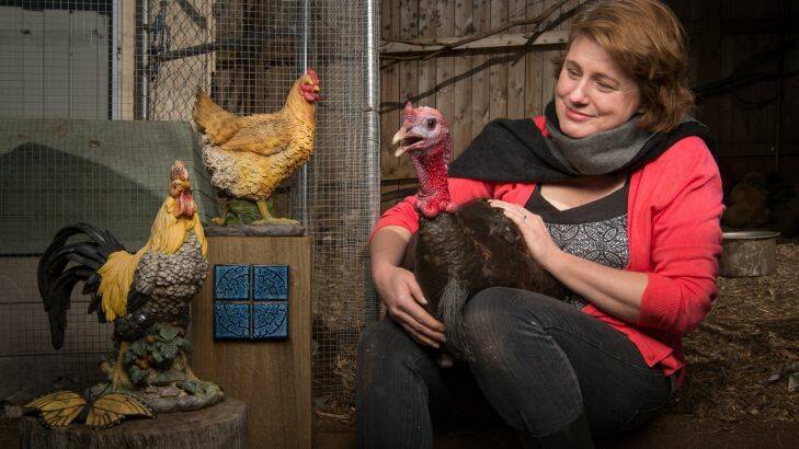 Portrait of Belinda Heath of Wentworth Falls with Boris the Bronze Standard Turkey. There has been a resurgence in poultry clubs and poultry shows among younger people - especially people with young families who have moved out of inner city Sydney. 28th July 2017, Photo: Wolter Peeters, The Sun Herald.