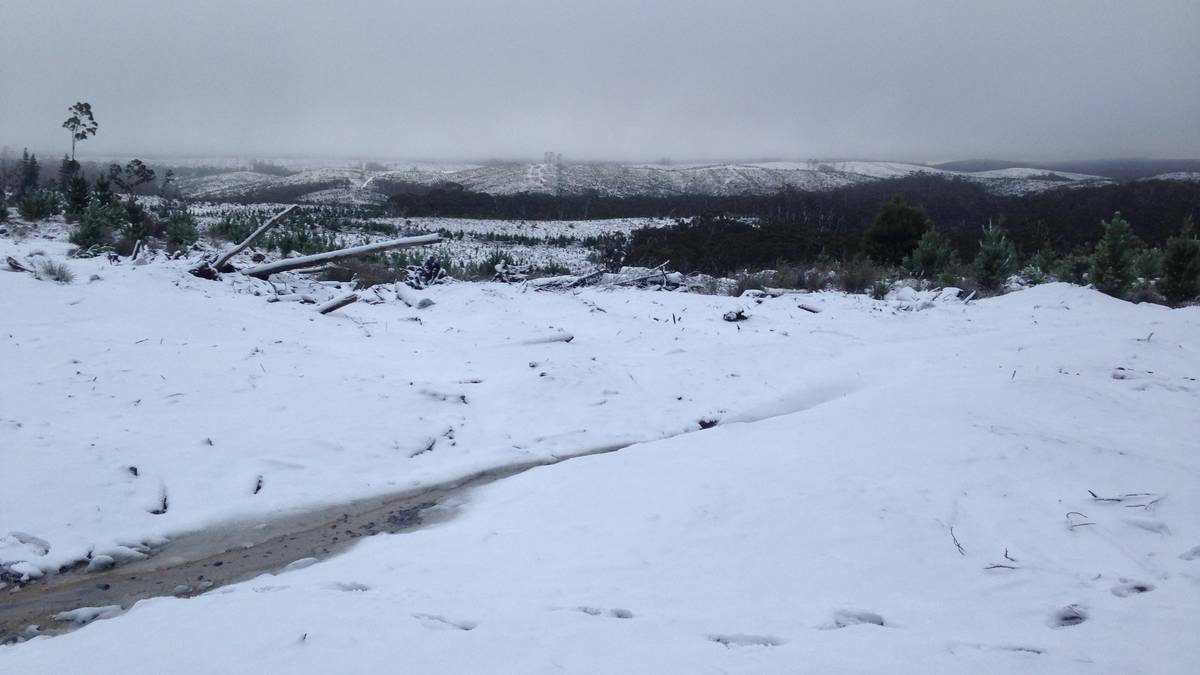 Snow near Taralga palling yards, in southern NSW. Photo: Andrew Micallef, Wide Area Communications