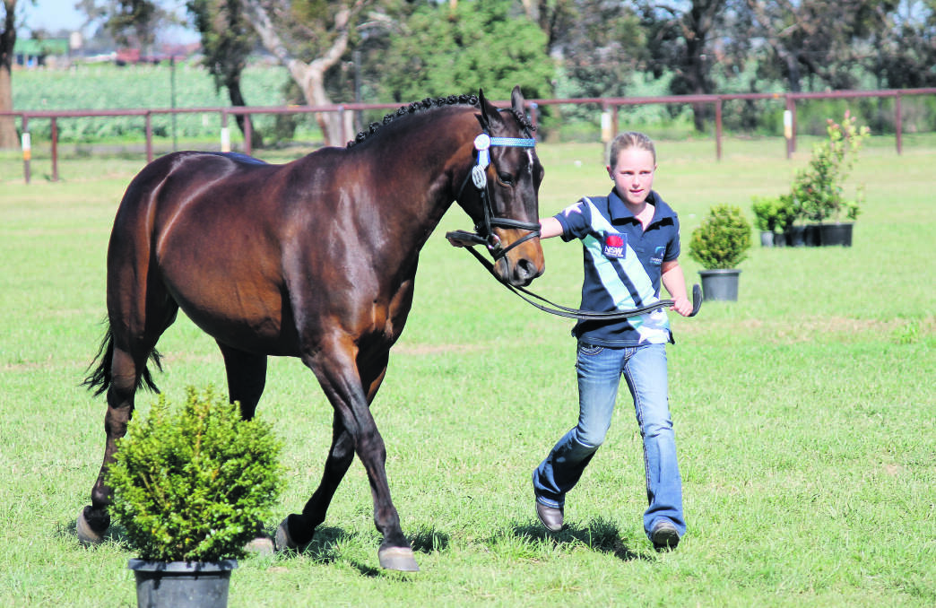 Jorja Power and her horse Namoi Valley Christoph. Photo: courtesy of Equestrian NSW