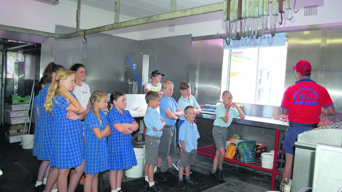 Sophie Worth (obscured), Chloe Worth (obscured), Emily Clarke, Annette Brown, Tahlia Galvin, Isabell Young, Jayden Galvin, Hayden Clarke, Lane Clarke, Brock James and Braith Dalton watching Clint Lyon making sausages.
