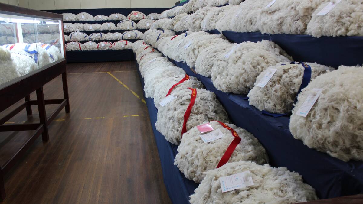 A number of industry experts will give insights into the future of fine wool at a forum starting at 2.30pm on March 6.