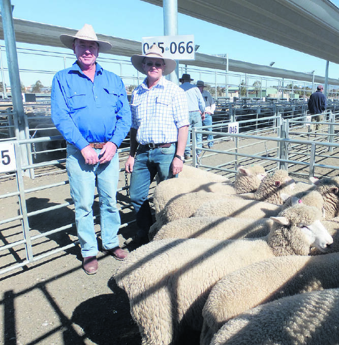 Denis Wall with Gary Olrich, Pitt Sons, Walcha and the top selling pen of lambs.