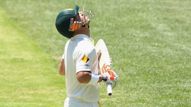 David Warner looked to the sky after reaching 63 not out. Photo: Getty Images