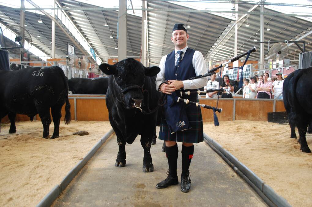 Quirindi's Rob Hayward, was awarded the 2024 RAS of NSW Youth Medal, and also played the bagpipes to welcome the Angus grand champions into the ring at Sydney Royal. Picture by Rebecca Nadge 