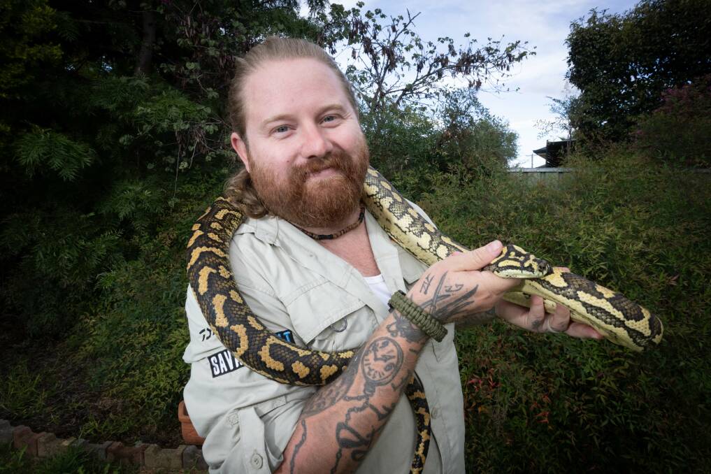 Tamworth snake catcher Jadyen Wallis with the carpet python discovered in Peel Street on Monday, April 15. Picture by Peter Hardin