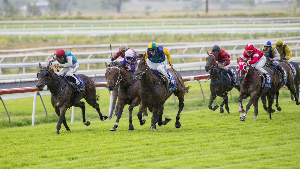 ON TARGET: Bullet Kid (far left) is in a rich vein of form and got his third career win at Tamworth recently for hometown trainer Craig Martin.