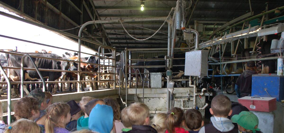 Moooooove over: Walcha Preschool students were very intrigued by the giant milking wheel at the local dairy on Monday afternoon. 