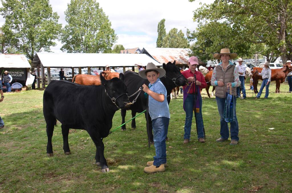 Junior beef cattle judging will take place on Friday