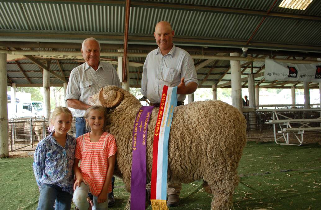 John, Hamish, Poppy and Mimi McLaren from Nerstane with their Supreme Champion Merino ram at the 2017 Walcha Show. The multi-award winning Nerstane Stud will be open as part of this biennial event.