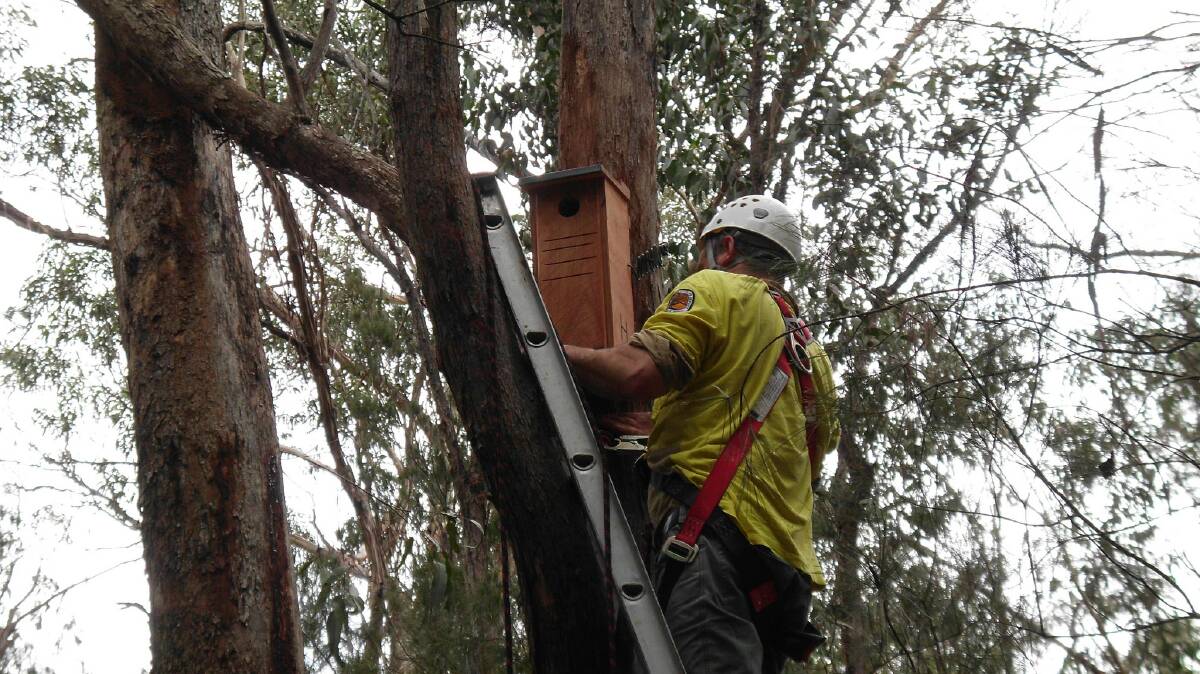 Installing the nesting boxes in the Oxley Rivers National Park