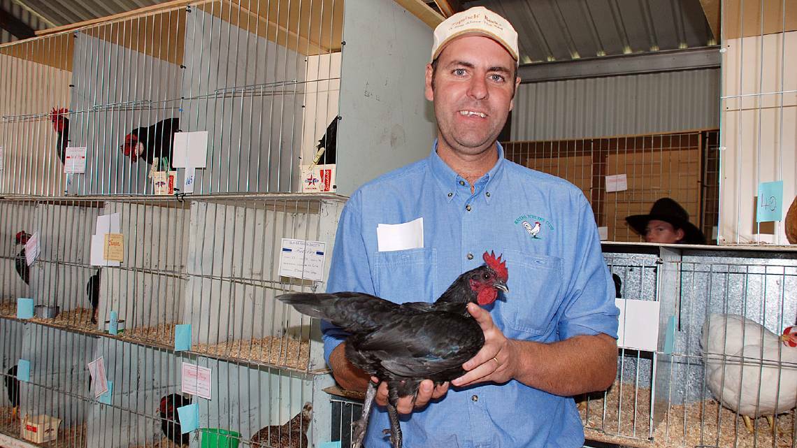 Walcha Poultry Club secretary Stuart Wellings with a prize winning Pitt Bantam hen