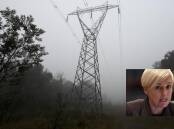 The second inquiry was chaired by NSW Greens MP Cate Faehrmann, inset. It called for a hybrid approach of underground and overhead transmission lines when connecting renewable energy zones.