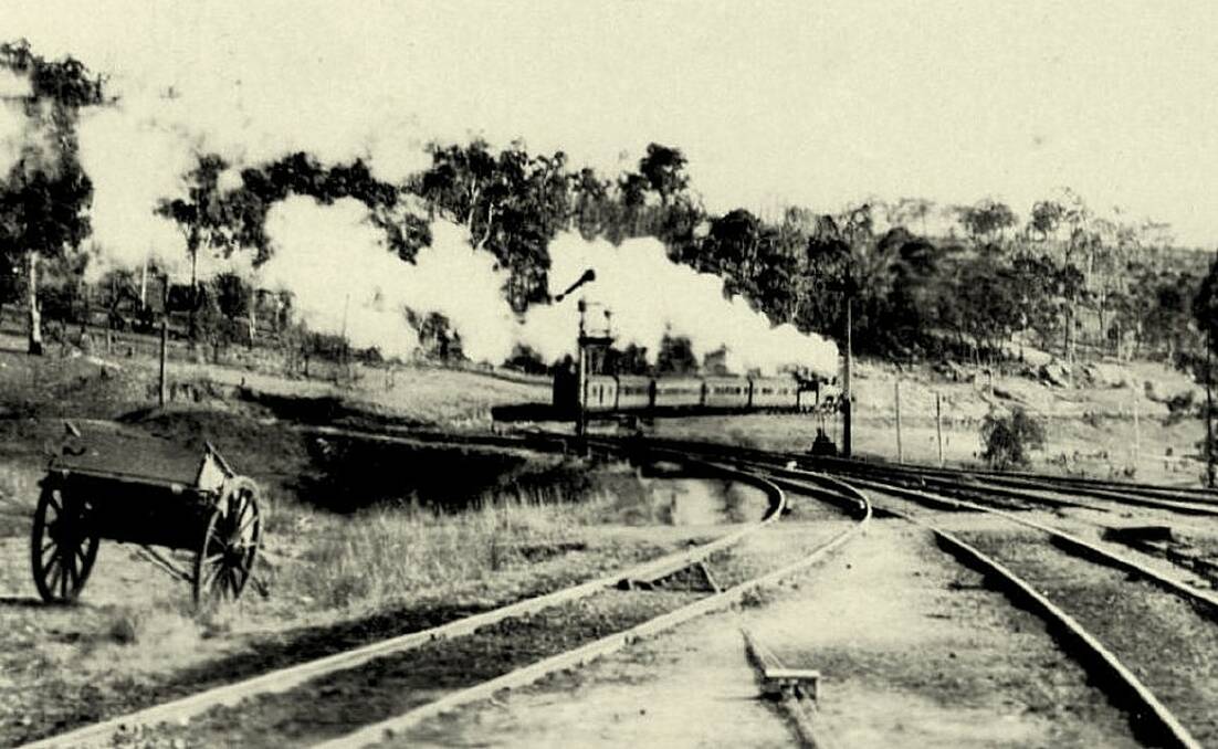 Full steam ahead: A train heading north from Walcha Road Station in the 1920s.