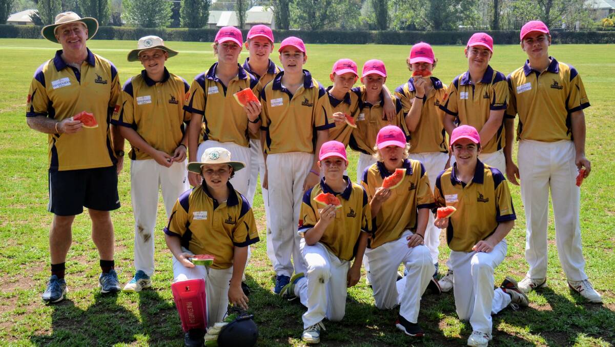 THINK PINK: The second day saw the annual Pink Stumps Day which saw $2651 raised for the McGrath Foundation.