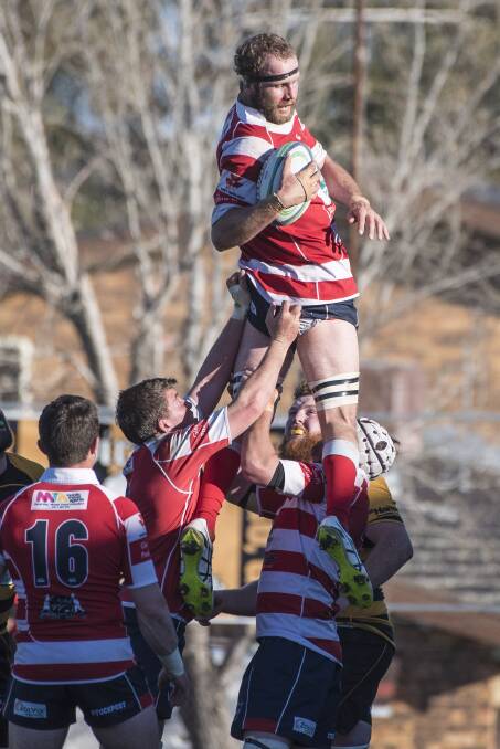 Sandy Cameron secures this lineout for Walcha in last years grand final. Photo: Peter Hardin