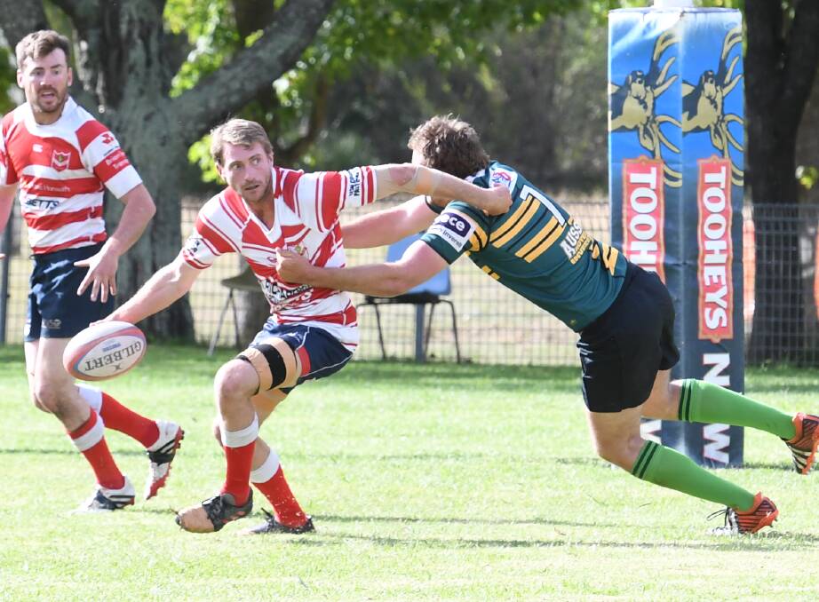 Higher honours: Walcha outside centre Ed Cordingley is in line for a Cockatoos jersey after being named in the Country training squad.