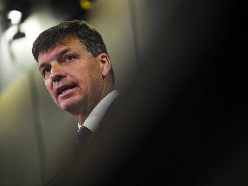 Angus Taylor claims Australia will cut energy prices, create jobs and reduce emissions.