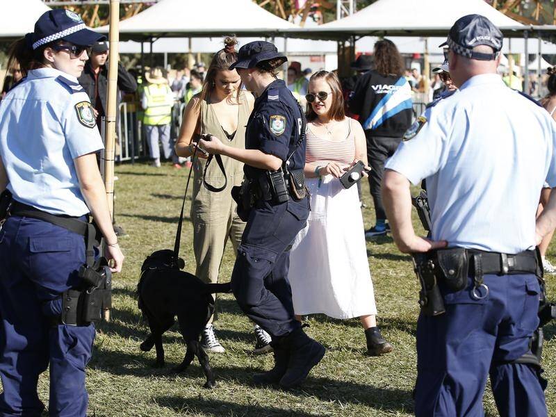 More than 35,000 people are expected to attend the second day of Splendour in the Grass.