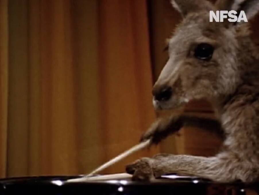 RHYTHM AND ROOS: Our hero skips a beat. 