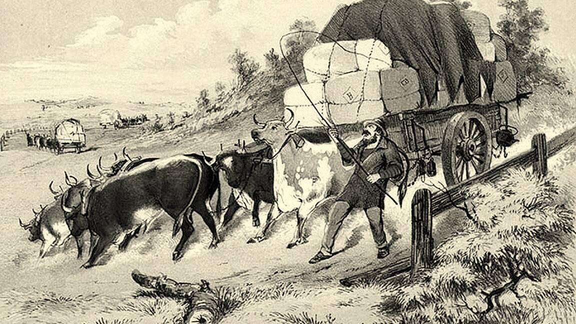 A bullock dray loaded with wool – from S.T. Gill’s Australian Sketchbook of 1865.