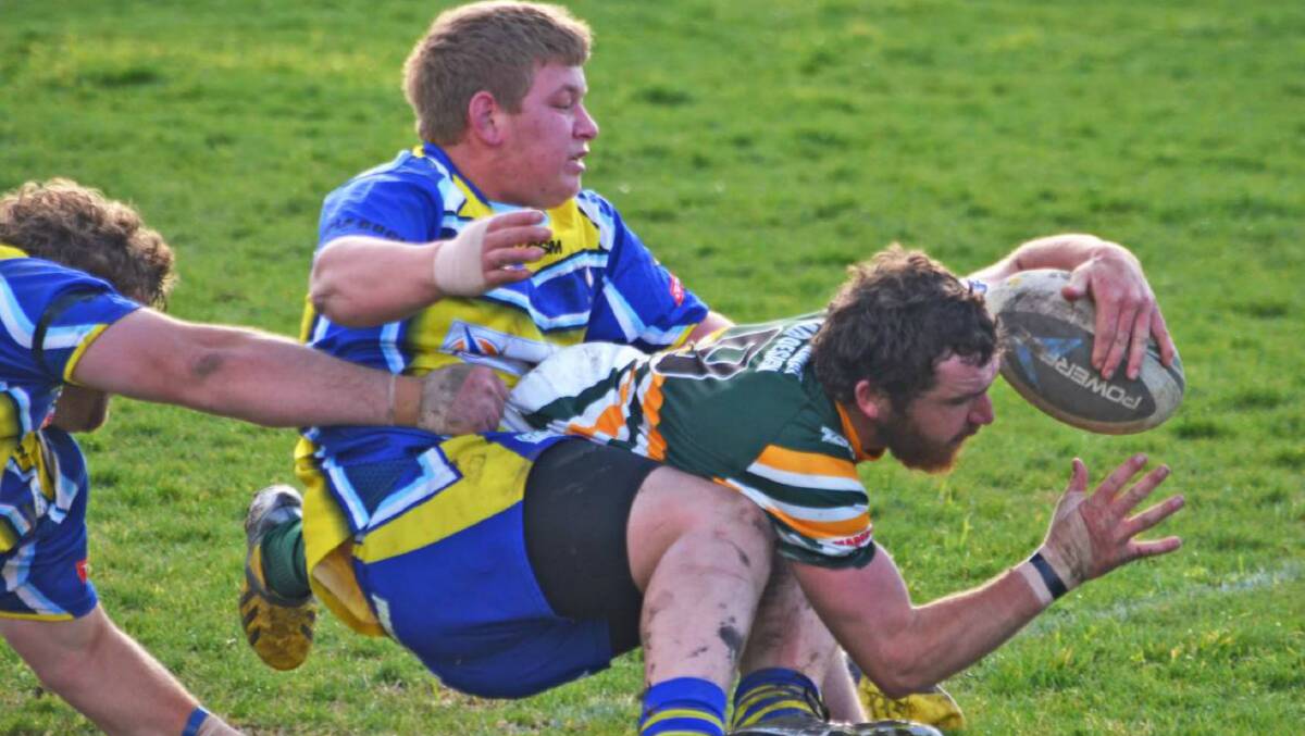 The Roos will be in action at The Park this weekend against Werris Creek, after going down in a close encounter against Boggabri in the last round.
