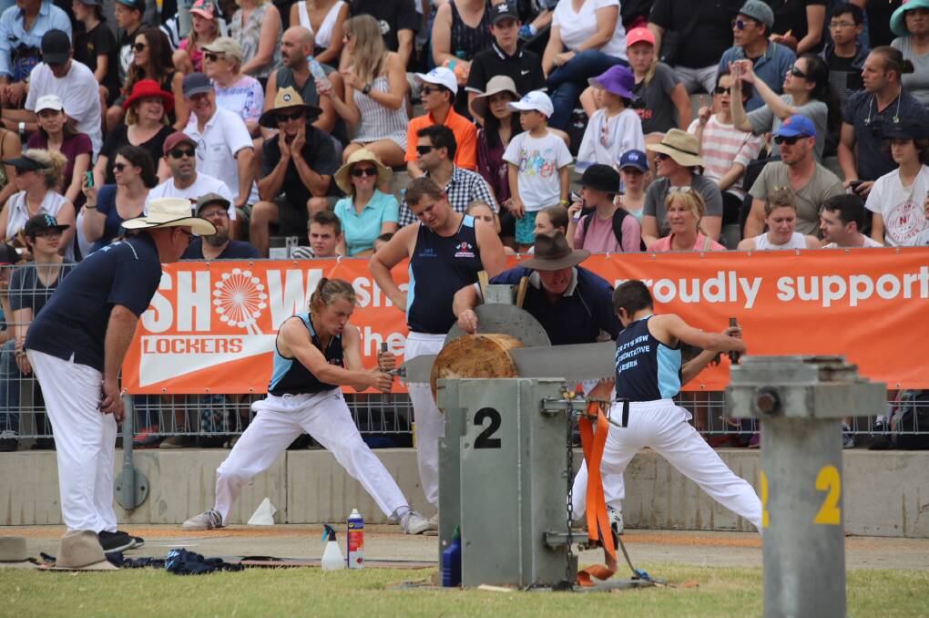 Woodchoppers: Mitchell and Austin Scrivener in action for NSW at the Royal Easter Show.